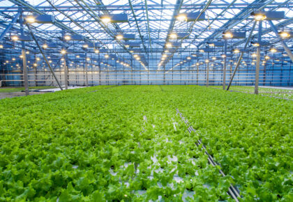 Fertirrigación de los cultivos intensivos: Sistemas de inyección de fertilizantes automatizados para la fertirrigación de cultivos intensivos