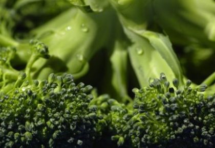 Brócoli, algunas curiosidades y cómo tratarlo