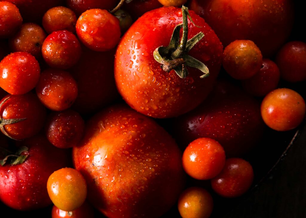 Todo lo que debes saber sobre el abonado del tomate de industria