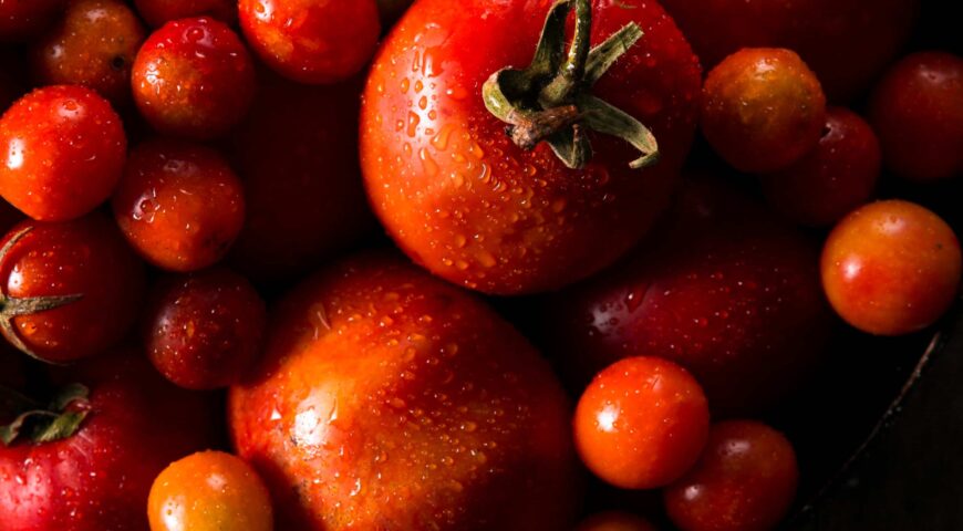 Todo lo que debes saber sobre el abonado del tomate de industria