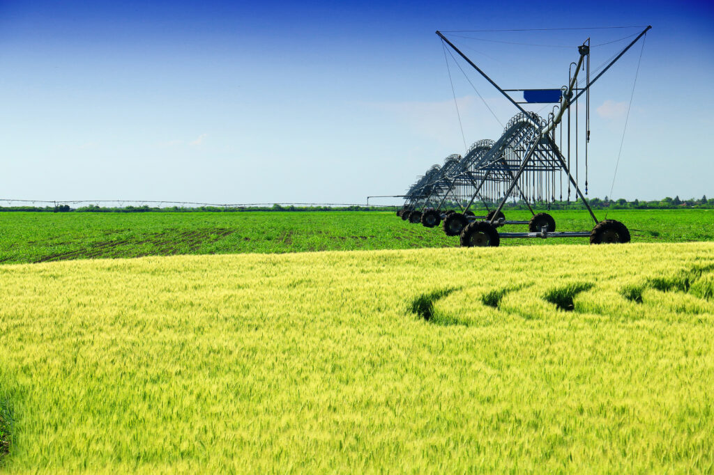 Fertirrigación de precisión: más allá de aplicar nutrientes