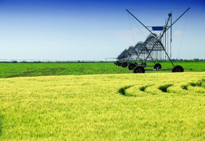 Fertirrigación de precisión: más allá de aplicar nutrientes