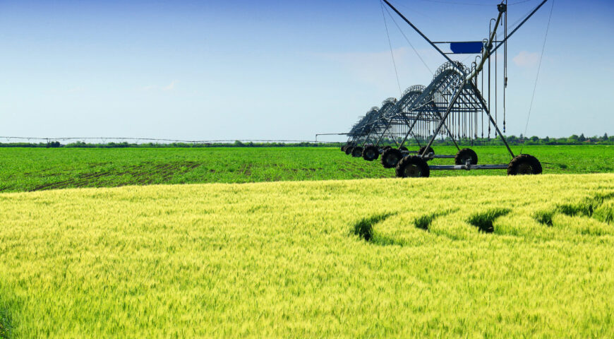 Fertirrigación de precisión: más allá de aplicar nutrientes