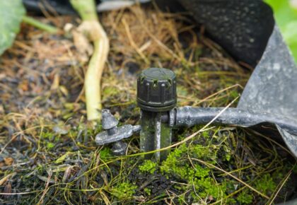 Nutrición eficiente en invernadero: cómo afrontar los cambios de cultivo y evitar problemas acumulados