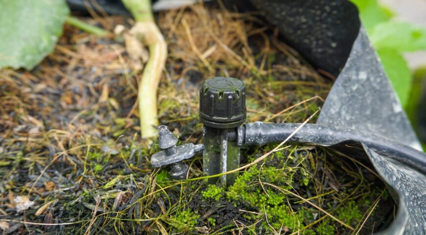 Nutrición eficiente en invernadero: cómo afrontar los cambios de cultivo y evitar problemas acumulados