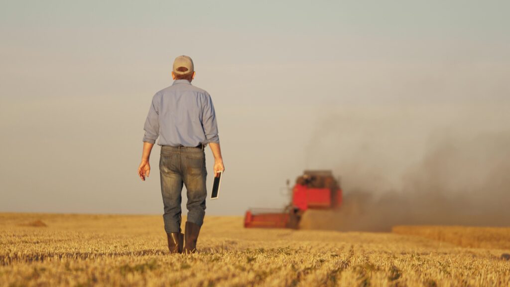 Rentabilidad agrícola: sacar el máximo rendimiento a cada euro invertido